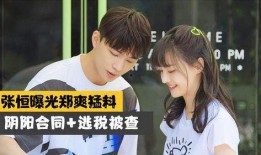 娱乐圈爆料讲解,揭秘明星背后的故事与真相